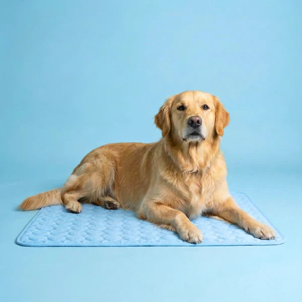 Il tappetino che resta fresco — anche dopo ore sotto il tuo cane.
