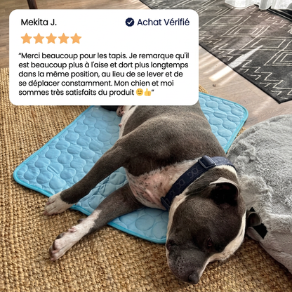 Le tapis qui reste frais — même après des heures sous votre chien.