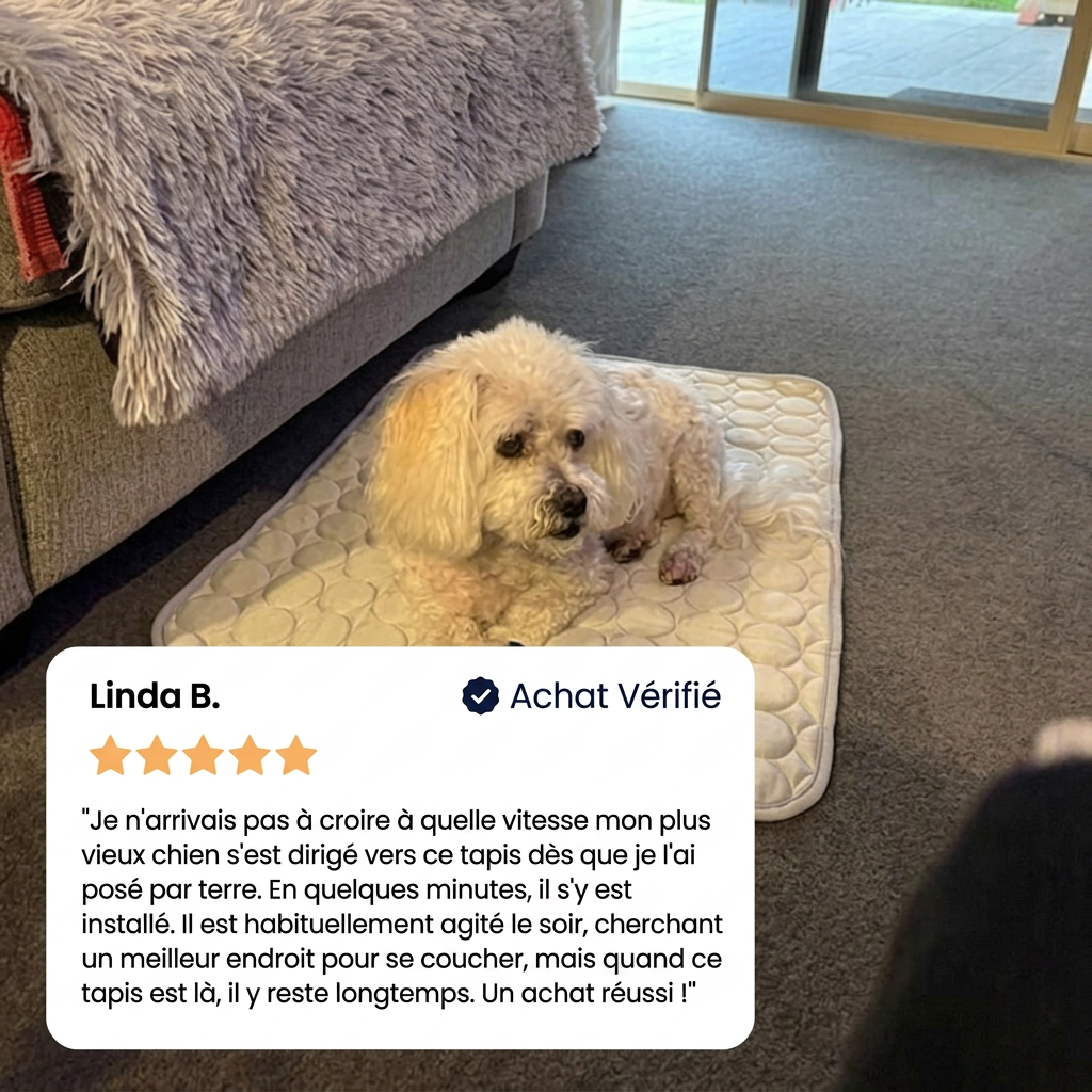 Le tapis qui reste frais — même après des heures sous votre chien.