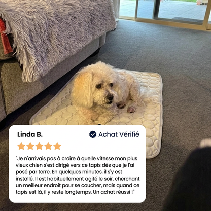 Le tapis qui reste frais — même après des heures sous votre chien.