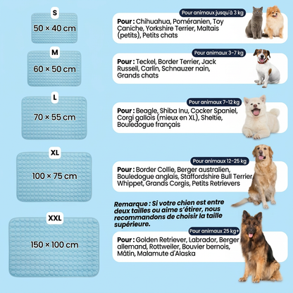 Le tapis qui reste frais — même après des heures sous votre chien.