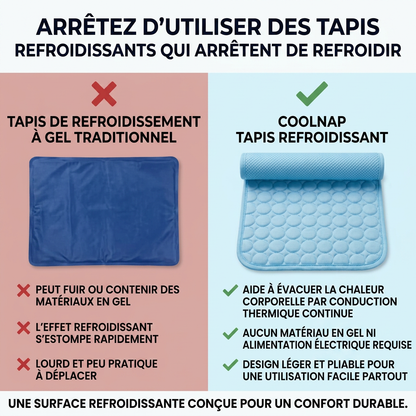 Le tapis qui reste frais — même après des heures sous votre chien.