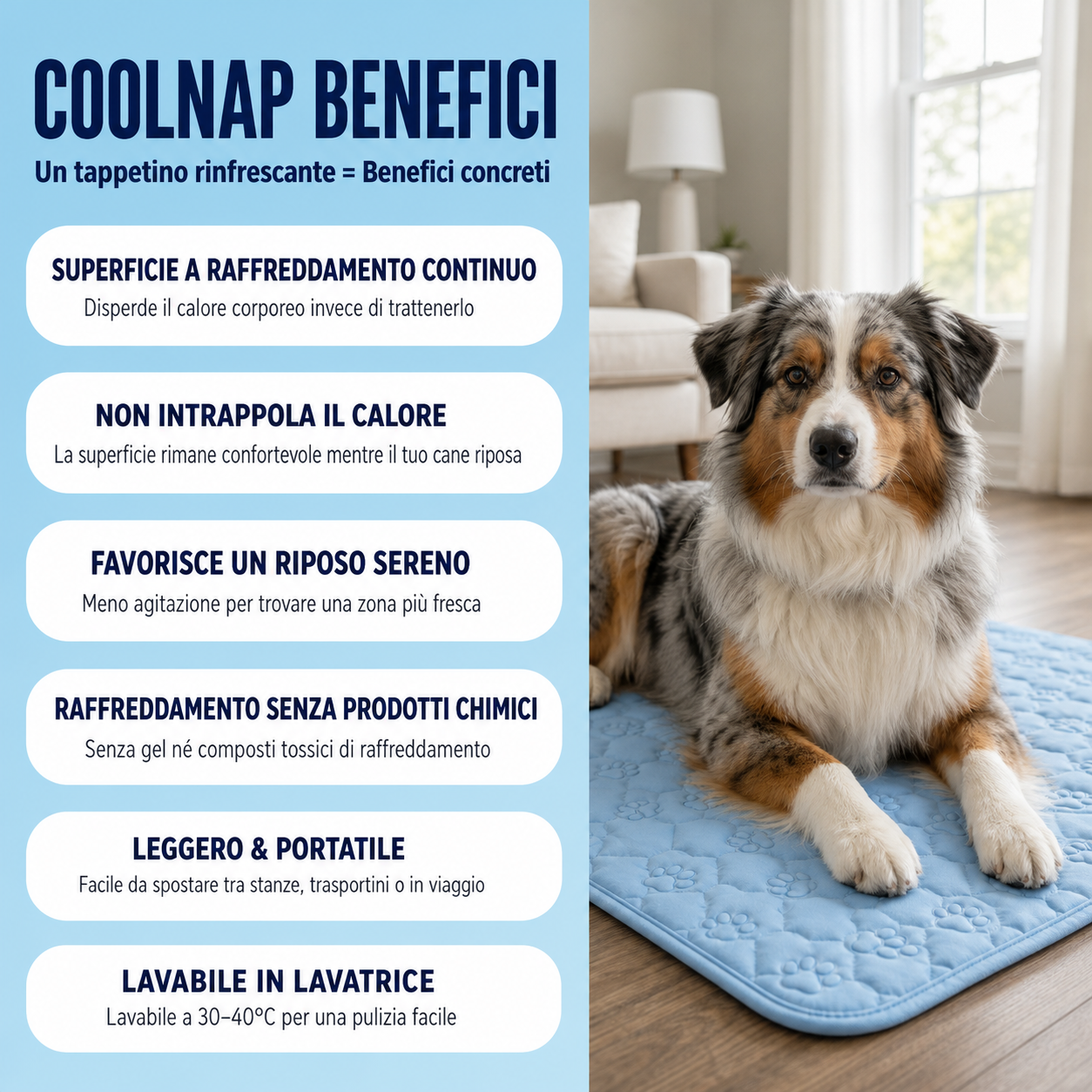 Il tappetino che resta fresco — anche dopo ore sotto il tuo cane.
