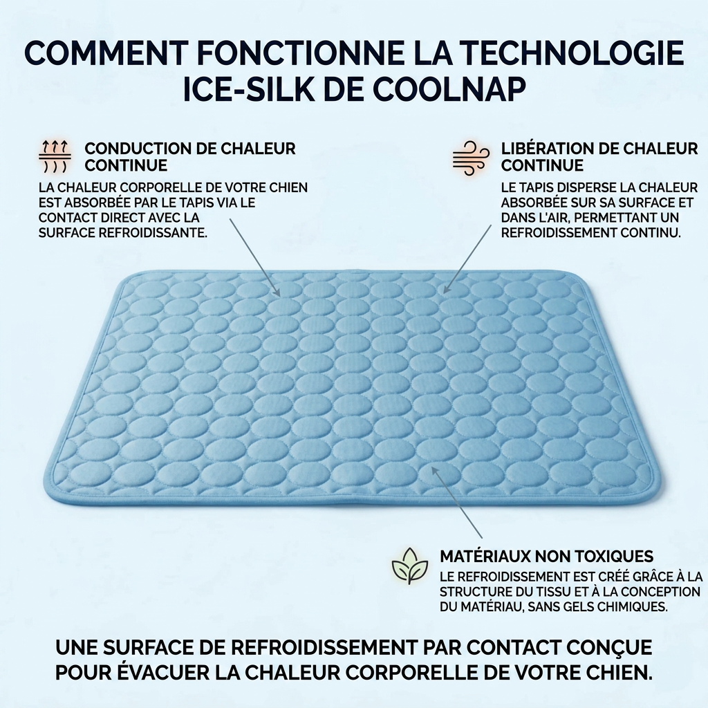 Le tapis qui reste frais — même après des heures sous votre chien.