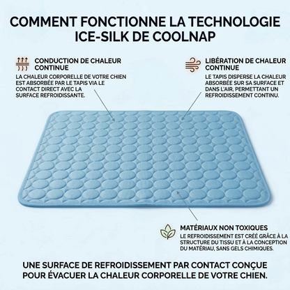 Le tapis qui reste frais — même après des heures sous votre chien.