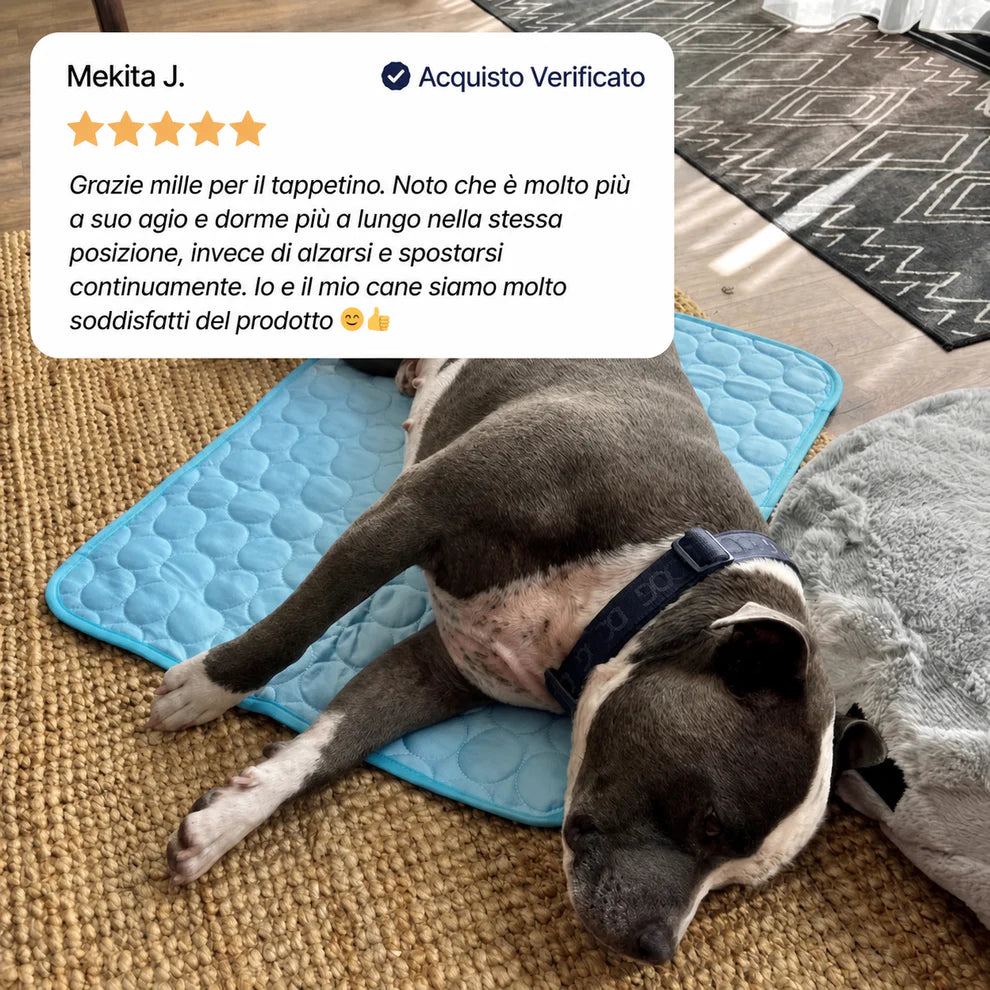 Title Il tappetino che resta fresco — anche dopo ore sotto il tuo cane.