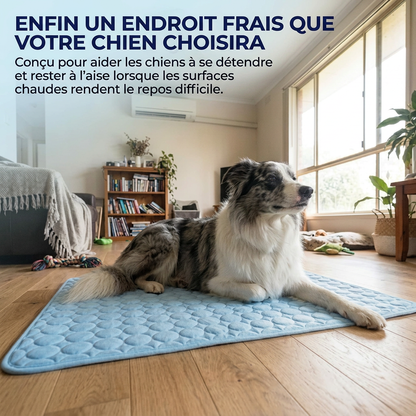 Le tapis qui reste frais — même après des heures sous votre chien.