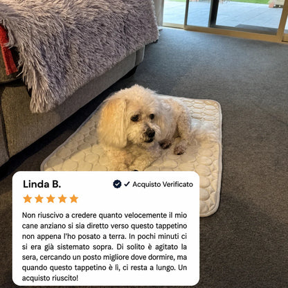 Title Il tappetino che resta fresco — anche dopo ore sotto il tuo cane.